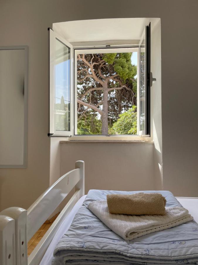 Tree Appartement Dubrovnik Buitenkant foto